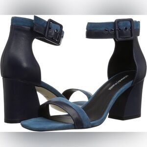 Donald J. Pliner Blue Ankle Strap Heels
